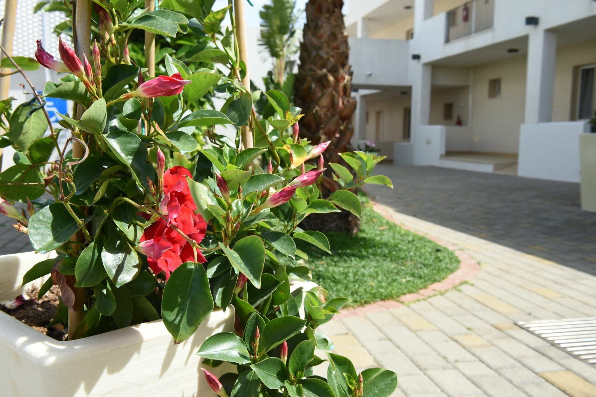 Donnosanto Residence Torre Santa Sabina Exterior photo